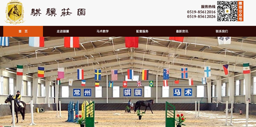 馬場(chǎng)馬術(shù)教學(xué)